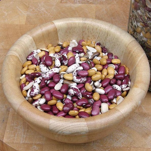 Bean Soup Mix Blend - Renee's Garden - Image 5