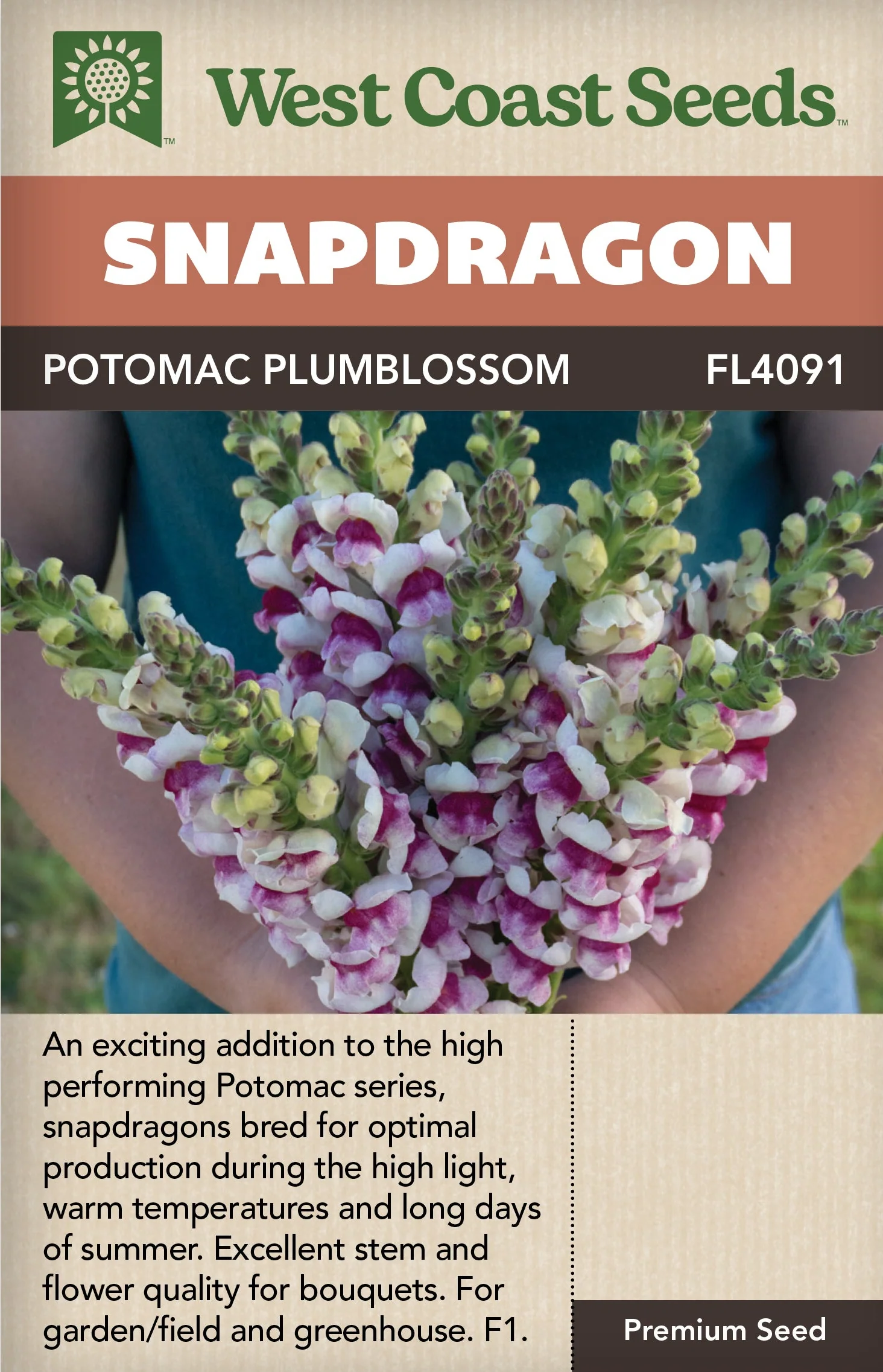 Snapdragon Potomac Plumblossom - West Coast Seeds